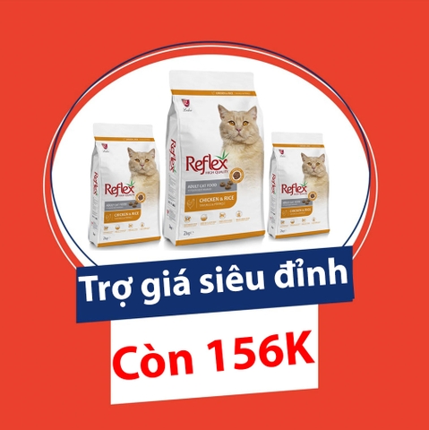 Trợ giá Reflex duy nhất 25/8