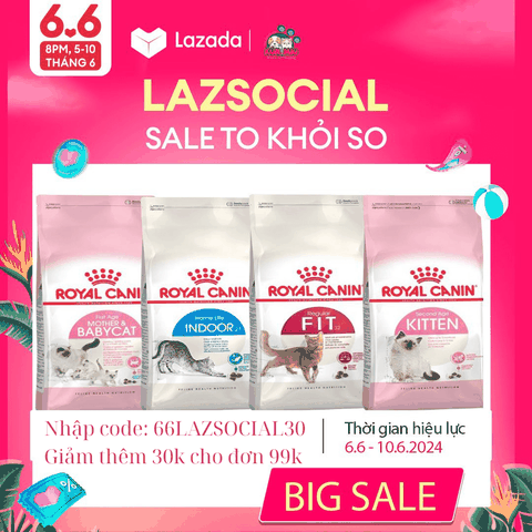 Lazada đầu tháng sale sập sàn