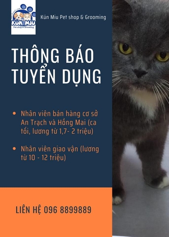 THÔNG BÁO TUYỂN DỤNG