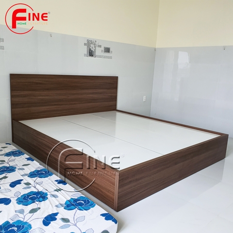 Giường Vai Đứng FINE FG155 (160cm x 200cm) Thiết kế hiện đại, đẹp và sang trọng