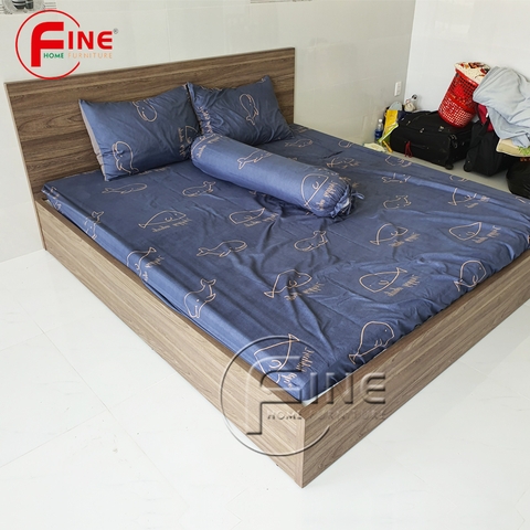 Giường Vai Đứng FINE FG157 (140cm x 200cm) Thiết kế hiện đại, đẹp và sang trọng