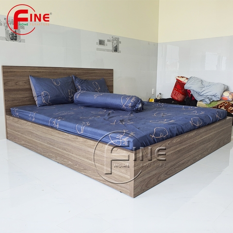 Giường Vai Đứng FINE FG157 (140cm x 200cm) Thiết kế hiện đại, đẹp và sang trọng