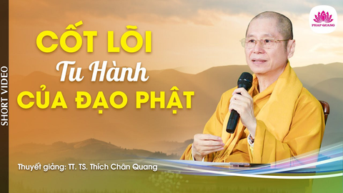 CỐT LÕI TU HÀNH CỦA ĐẠO PHẬT- TT. TS. Thích Chân Quang (Trích bài 