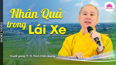 NHÂN QUẢ TRONG LÁI XE (Trích bài 