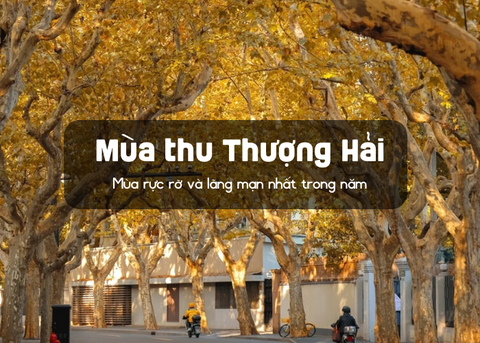Vẻ đẹp lãng mạn của mùa thu Thượng Hải