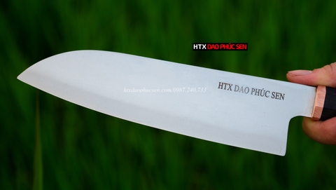 Dao lọc thép trắng cao cấp CL10