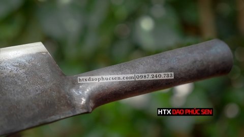 dao thái phúc sen, dao phúc sen, htx dao phúc sen