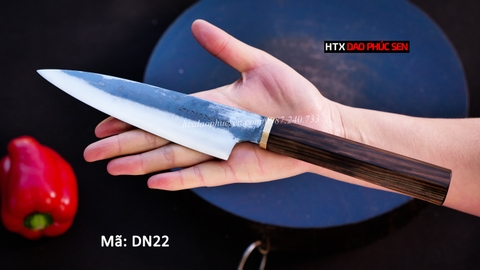 Dao thái lọc DN22