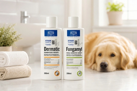Alkin Dermatic hay Fungamyl? Bảng chọn nhanh theo dấu hiệu da chó mèo