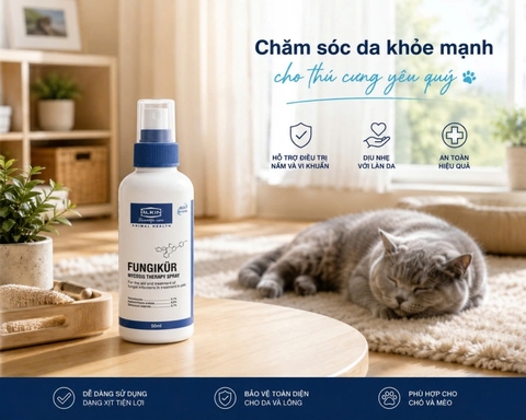 Alkin Fungikur có hiệu quả không? Những trường hợp nên và không nên dùng
