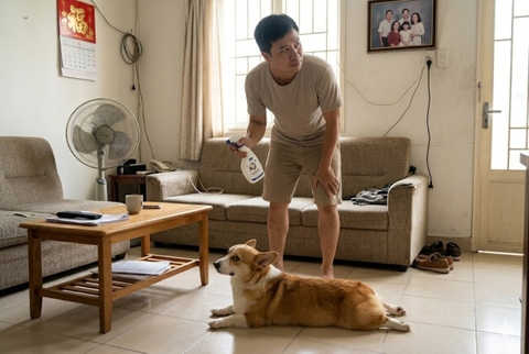 Khử mùi chó mèo trong nhà như thế nào để không bị ám trở lại?