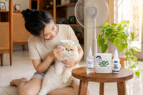 Dùng nước muối sinh lý lau mắt chó mèo hằng ngày có đủ không? Khi nào cần dung dịch chuyên dụng?