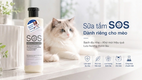 SOS Trắng cho mèo: Phù hợp khi lông nhanh bết và mùi hôi quay lại sớm?