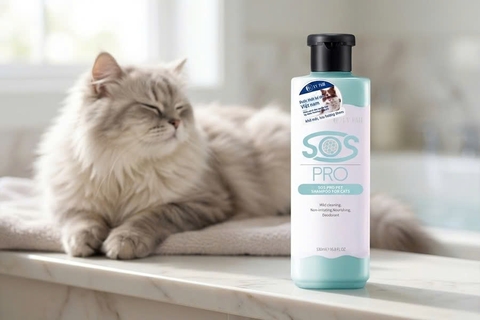 Sữa tắm SOS PRO Xanh Dương: Vì sao mèo cần một công thức làm sạch bã nhờn riêng biệt?