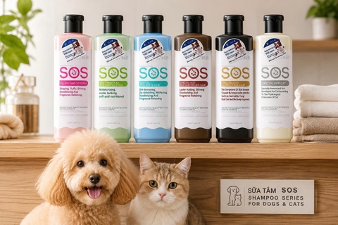 Sữa tắm SOS màu nào phù hợp với thú cưng của bạn?