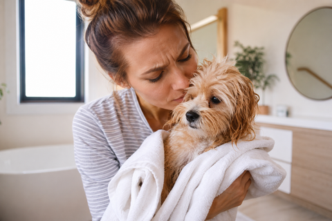 Tắm xong chó mèo vẫn nhanh hôi: Do sữa tắm chưa phù hợp hay do cách tắm sai?