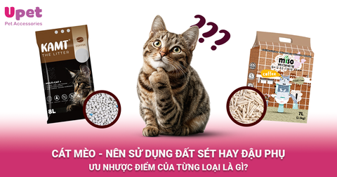 CÁT MÈO - NÊN SỬ DỤNG ĐẤT SÉT HAY ĐẬU PHỤ?
