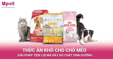 Thức ăn khô cho chó mèo -  Giải pháp tiện lợi mà vẫn đầy đủ dinh dưỡng