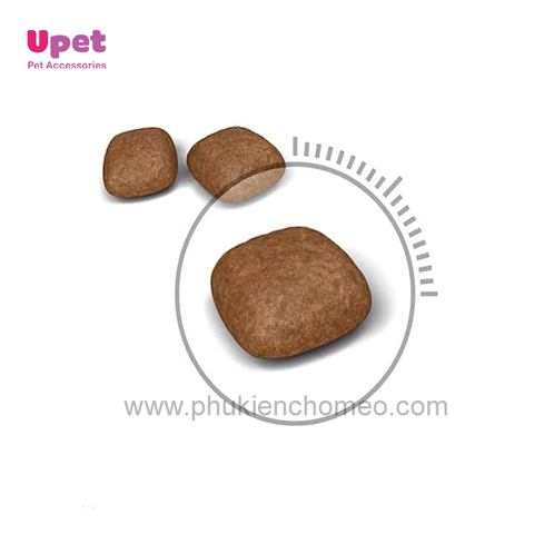 Royal Canin Urinary sỏi thận chó 2kg