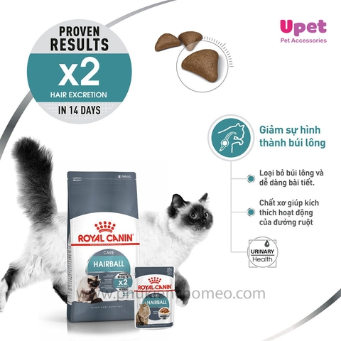 Thức ăn hạt cho mèo Royal canin Hairball Care/ Hair & Skin