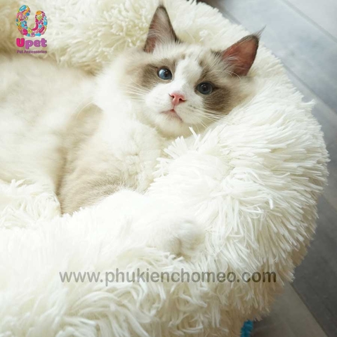 Đệm tròn bông xù cao 20cm 2019