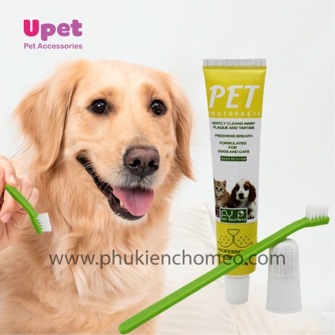 Kem Đánh Răng Chó Chó Mèo – Giải Pháp Chăm Sóc Răng Miệng Toàn Diện