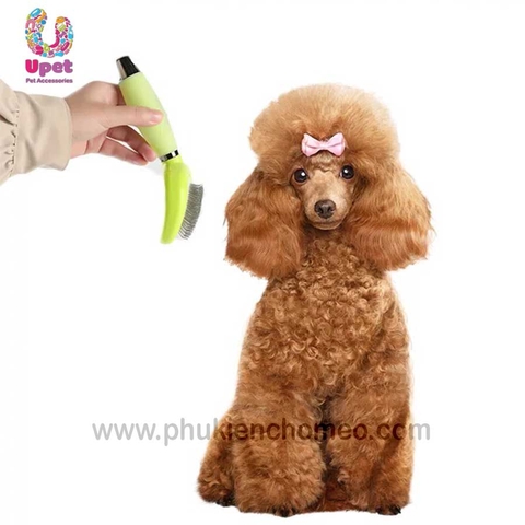 Lược chải xù Mod hình ovan