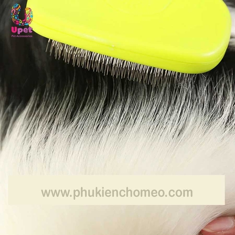 Lược chải xù Mod hình ovan