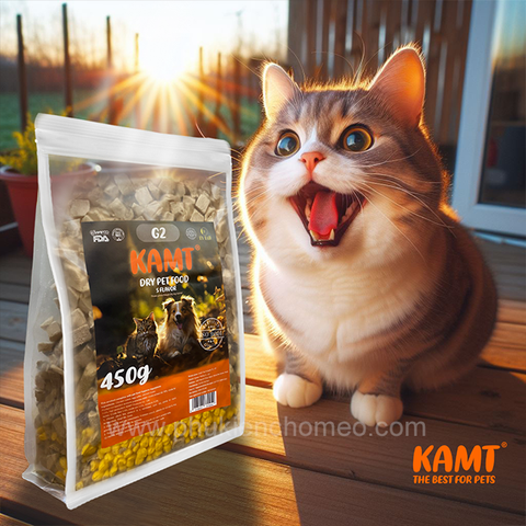Thịt sấy khô KAMT 450g mix vị
