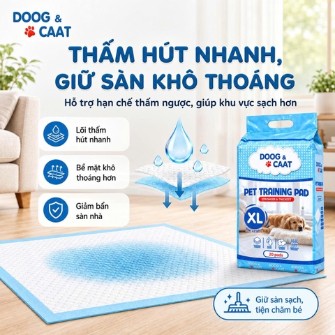 Tấm Lót Vệ Sinh Chó Mèo Doog & Caat Cải Tiến