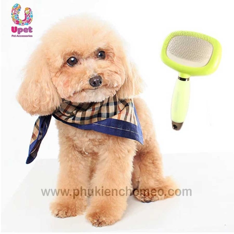 Lược chải xù Mod hình ovan