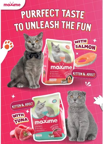 Thức ăn hạt Maxime Kitten & Adult Cat cho mèo vị cá hồi & cá ngừ