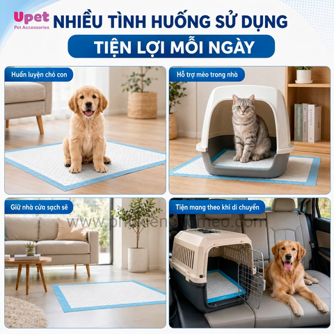 Tấm lót vệ sinh Doog & Caat Sticker cho chó mèo