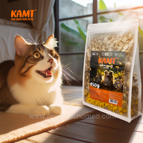 Thịt sấy khô KAMT 450g mix vị
