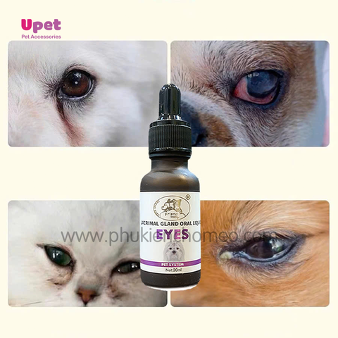 Thuốc trị chảy nước mắt ở chó mèo Lacrimal Gland Fluid EYES ( Pro-white ) 20ml