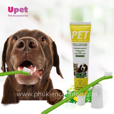 Kem Đánh Răng Chó Chó Mèo – Giải Pháp Chăm Sóc Răng Miệng Toàn Diện