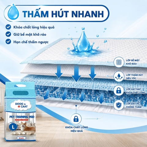 Tấm lót vệ sinh cho thú cưng Doog&Caat