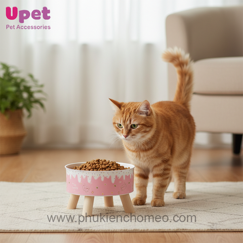 Bát chống gù 4 chân màu kem (đóng hộp, không inox) cw385