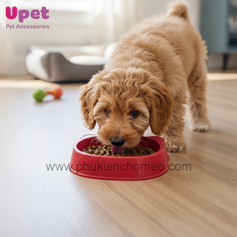 Bát đơn hình gấu nhỏ 7735-7736-7737