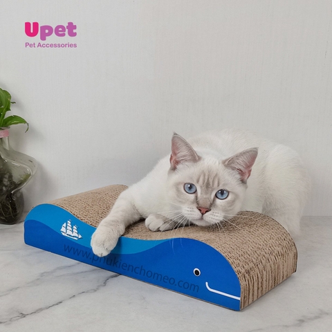 Cào móng IC-0026 Blue