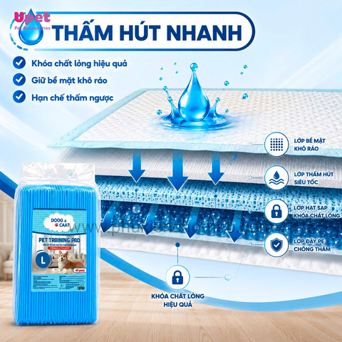 Tấm lót vệ sinh Doog & Caat Sticker cho chó mèo