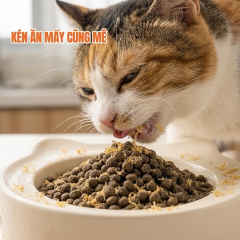 Hạt mèo KAMT K1 (Bao 1.2kg) - Phiên bản mới có thêm ruốc thịt
