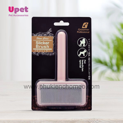 Lược Tiểu Tiên Nữ 2 trong 1