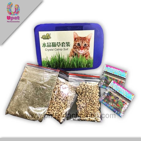 Cỏ Trồng Cho Mèo Combo | Giúp Giảm Búi Lông – Tốt Tiêu Hoá – Dễ Trồng Tại Nhà