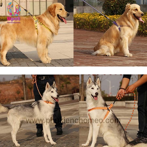 Dây dắt vòng cổ tam giác nhiều màu