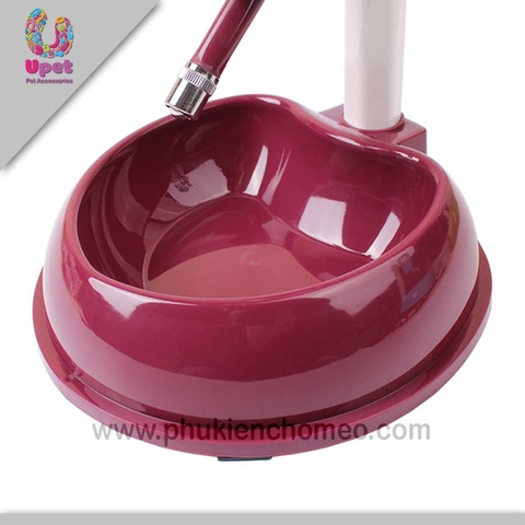 Bát ăn kèm bình uống nước tự động bình dân