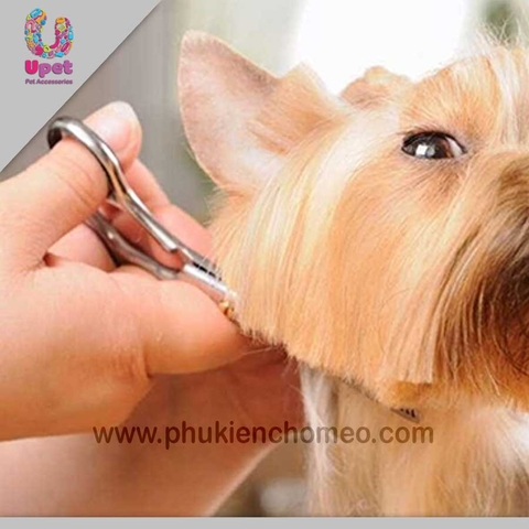 Kéo thẳng grooming cho chó mèo