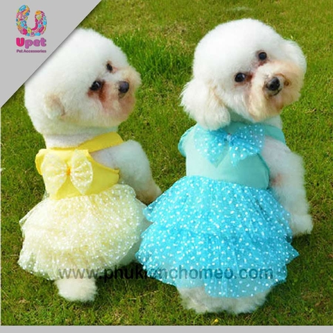 Váy 2 dây ren lưới