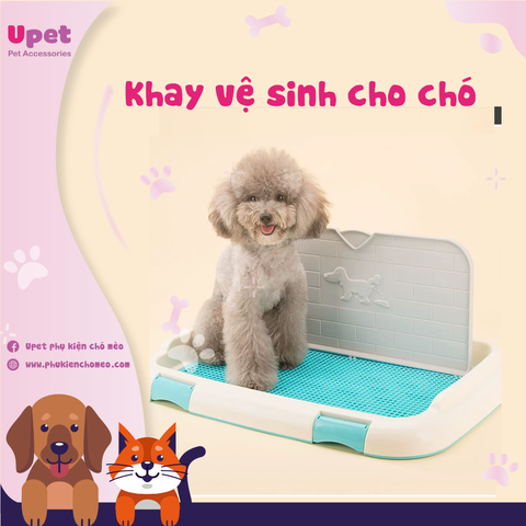 Khay vệ sinh cho chó có tường 46.5x35.5*5.5cm