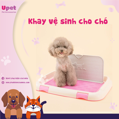 Khay vệ sinh cho chó ko tường 46.5x35.5*5.5cm